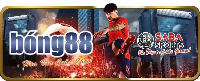 Thưởng và ưu đãi cao hơn 89bet01